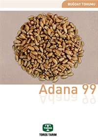 ADANA 99 buğday tohumu