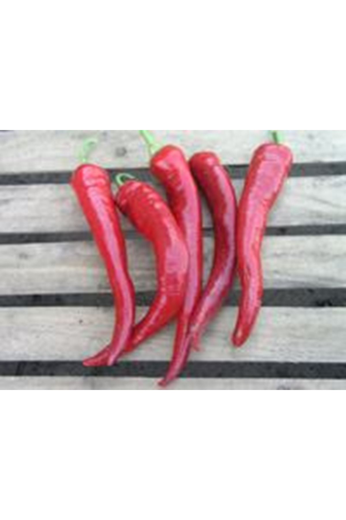 ZEYBEK F1 ACI KAPYA BİBER TOHUMU