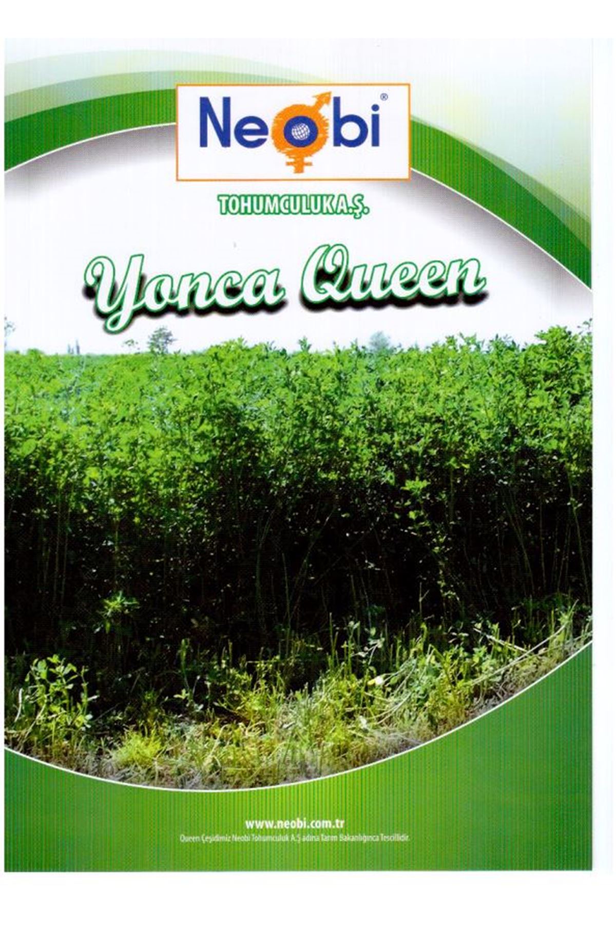 QUEEN YONCA TOHUMU 10 KG AMBALAJLARDA TORBASI