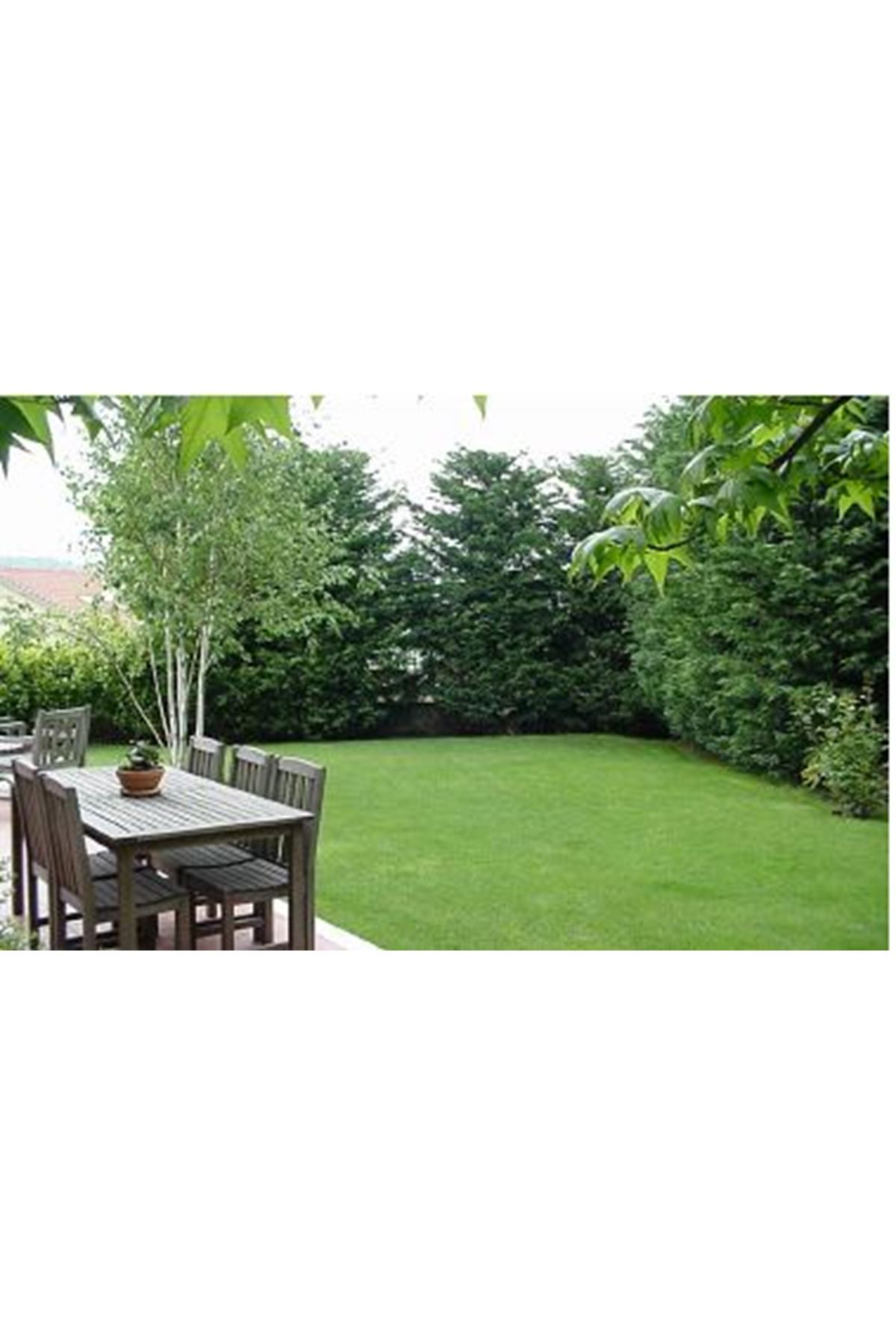 ULUSOY TOHUM  4M STAR ÇİM TOHUMU, 10 KG AMBALAJ FİYATI 