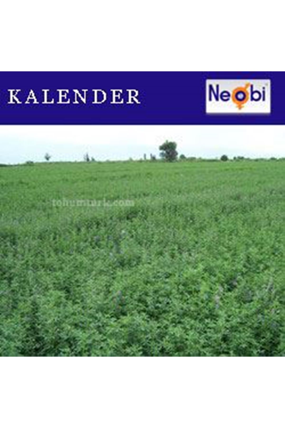 KALENDER YONCA TOHUMU 10 KG AMBALAJ