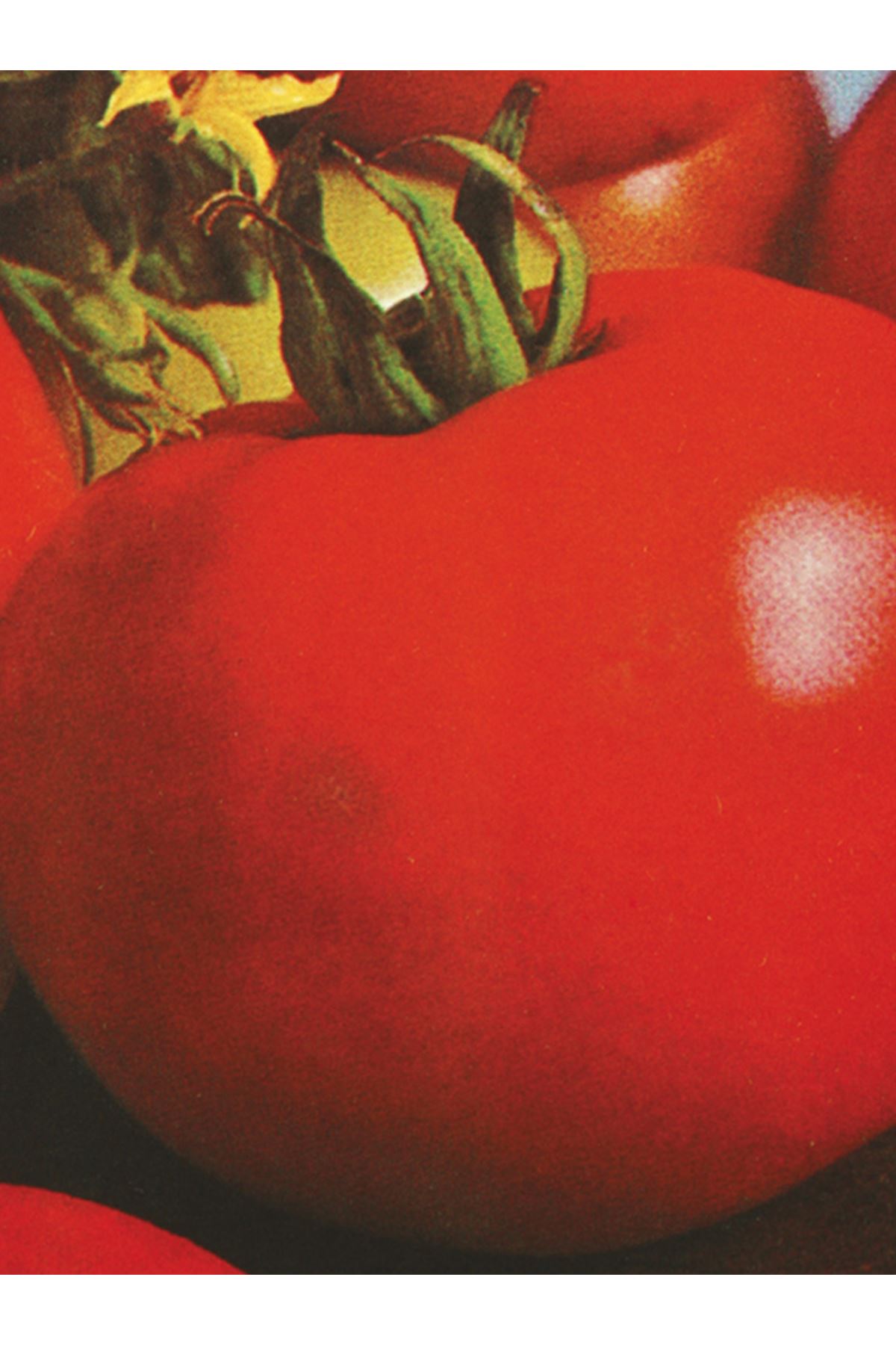 10 GRAM AMBALAJ ALTIN TOHUM S.C.2121 OTURAK DOMATES TOHUMU KDV DAHİL ADET FİYATI