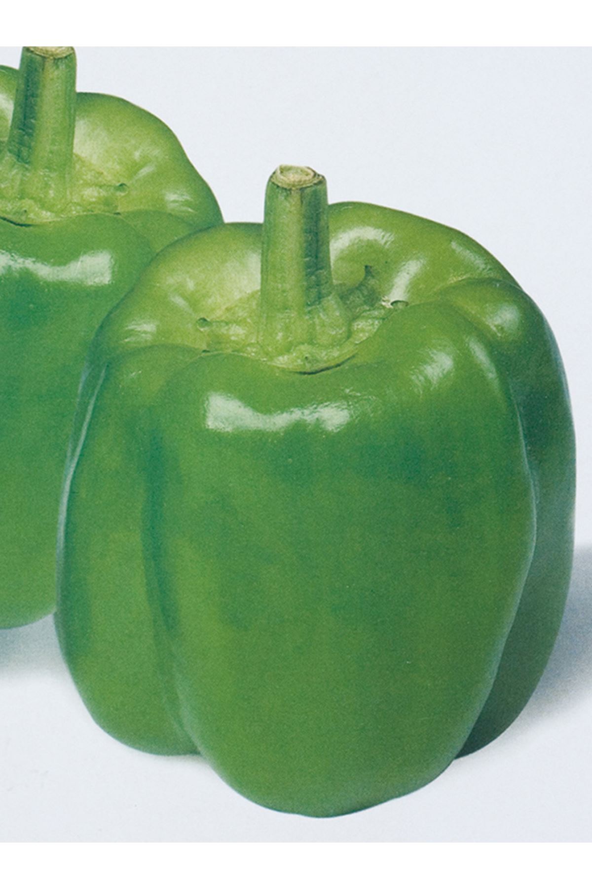 11-B-14 DOLMALIK BİBER TOHUMU 10 GRAM AMBALAJ KDV DAHİL ADET FİYATI