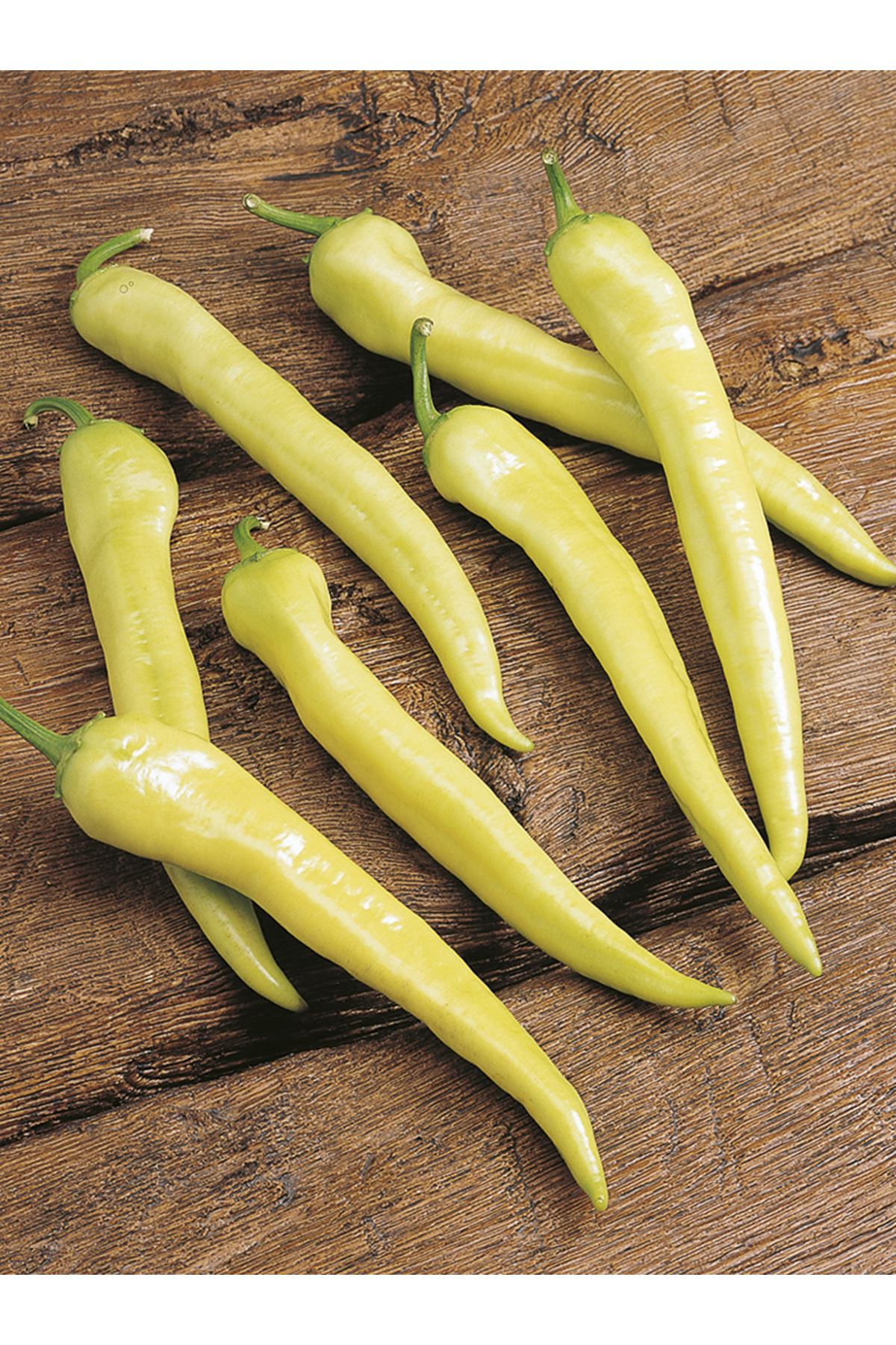  YALOVA ÇARLİSTON BİBER TOHUMU,10 GRAM AMBALAJ KDV DAHİL FİYATI