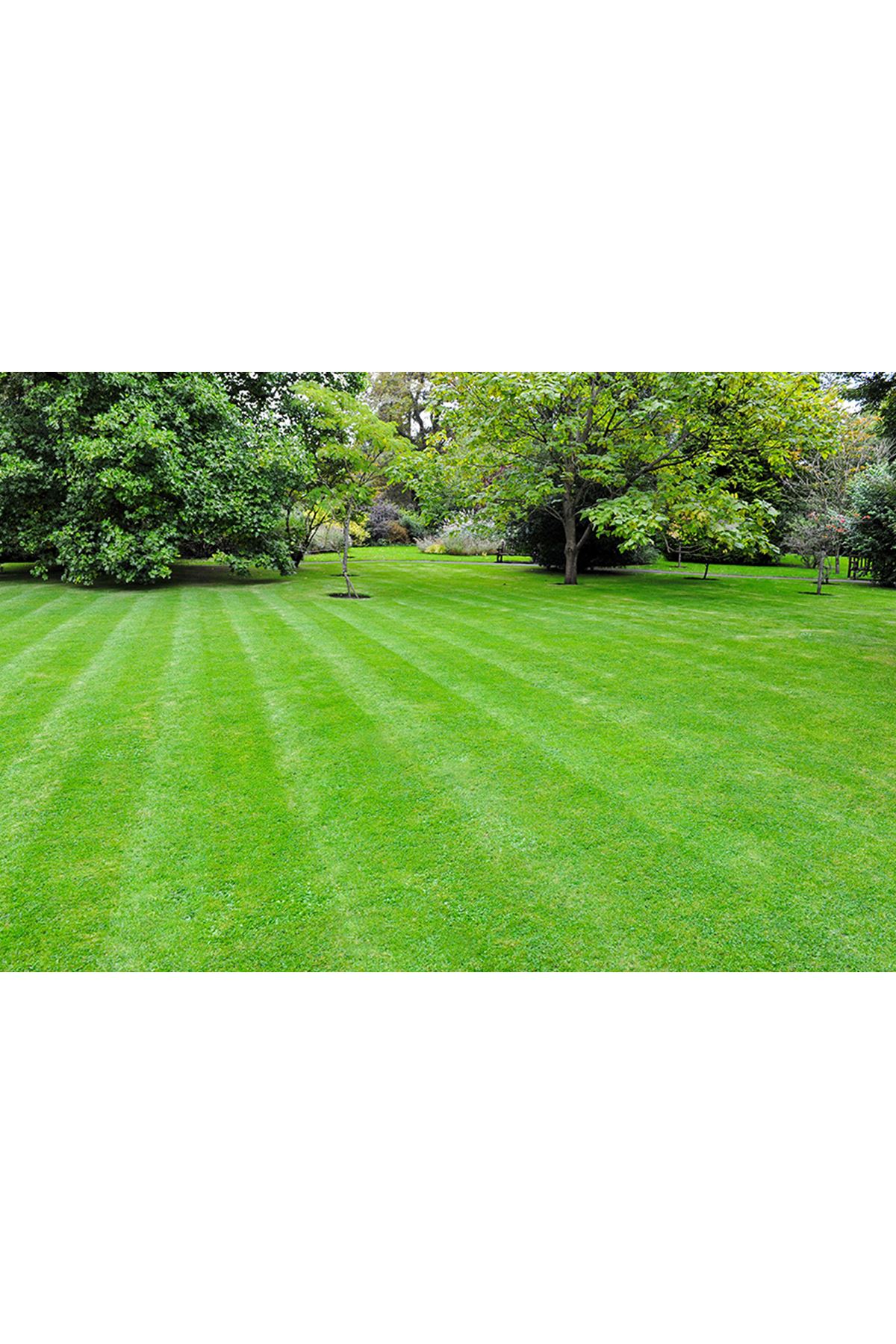 ULUSOY TOHUM 4M DYNAMİC ÇİM TOHUMU, 10 KG AMBALAJ FİYATI