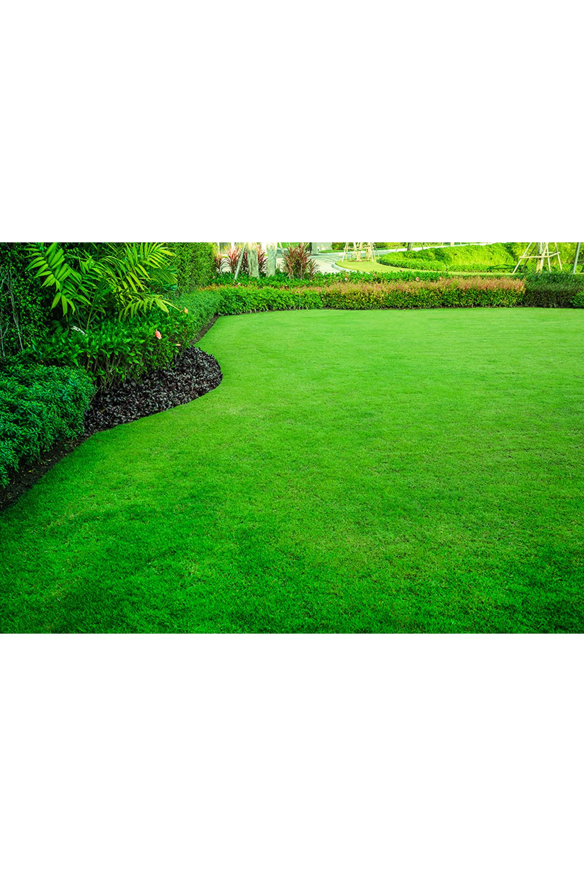 ULUSOY TOHUM  4M STAR ÇİM TOHUMU, 10 KG AMBALAJLARDA