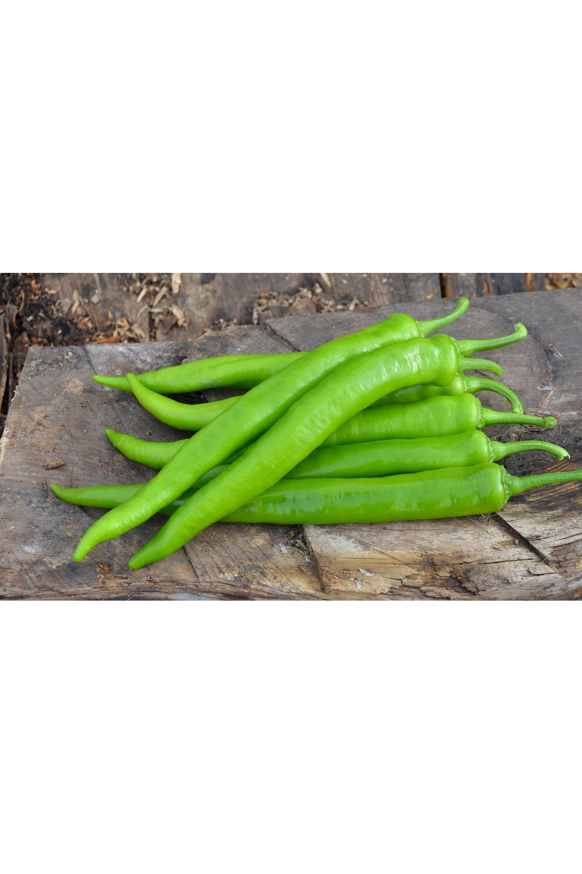 BALAMİR F1 SİVİR BİBER TOHUMU