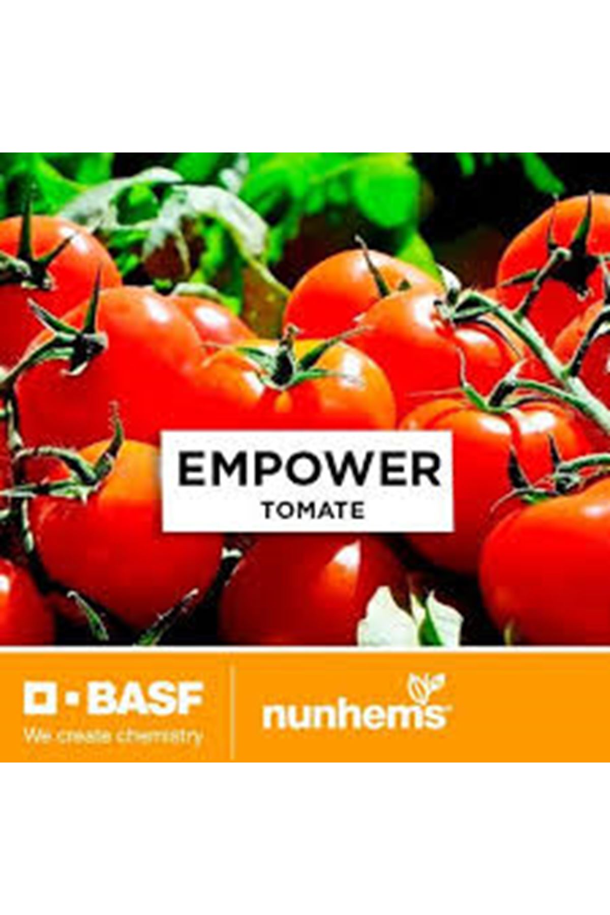 ENPOWER F1 DOMATES ANACI  TOHUMU