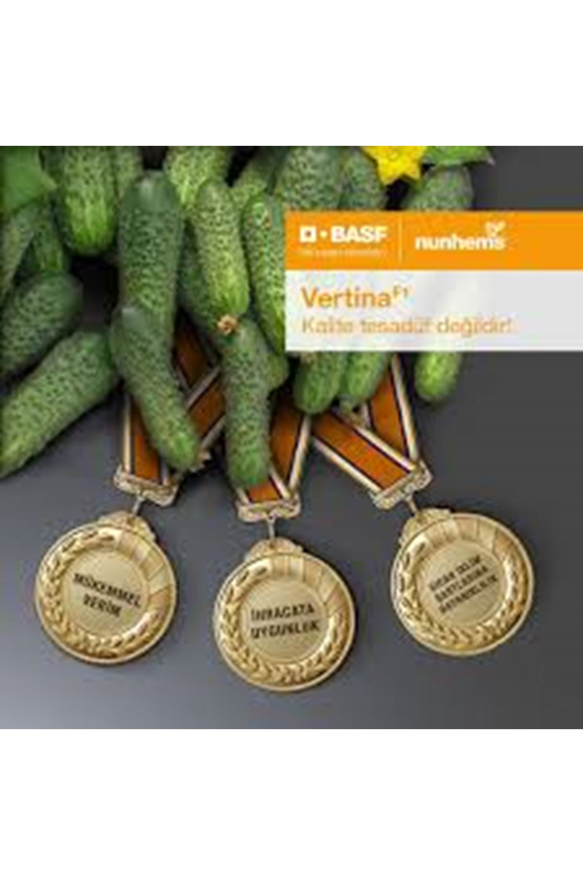 VERTİNA F1 TURŞULUK HIYAR TOHUMU