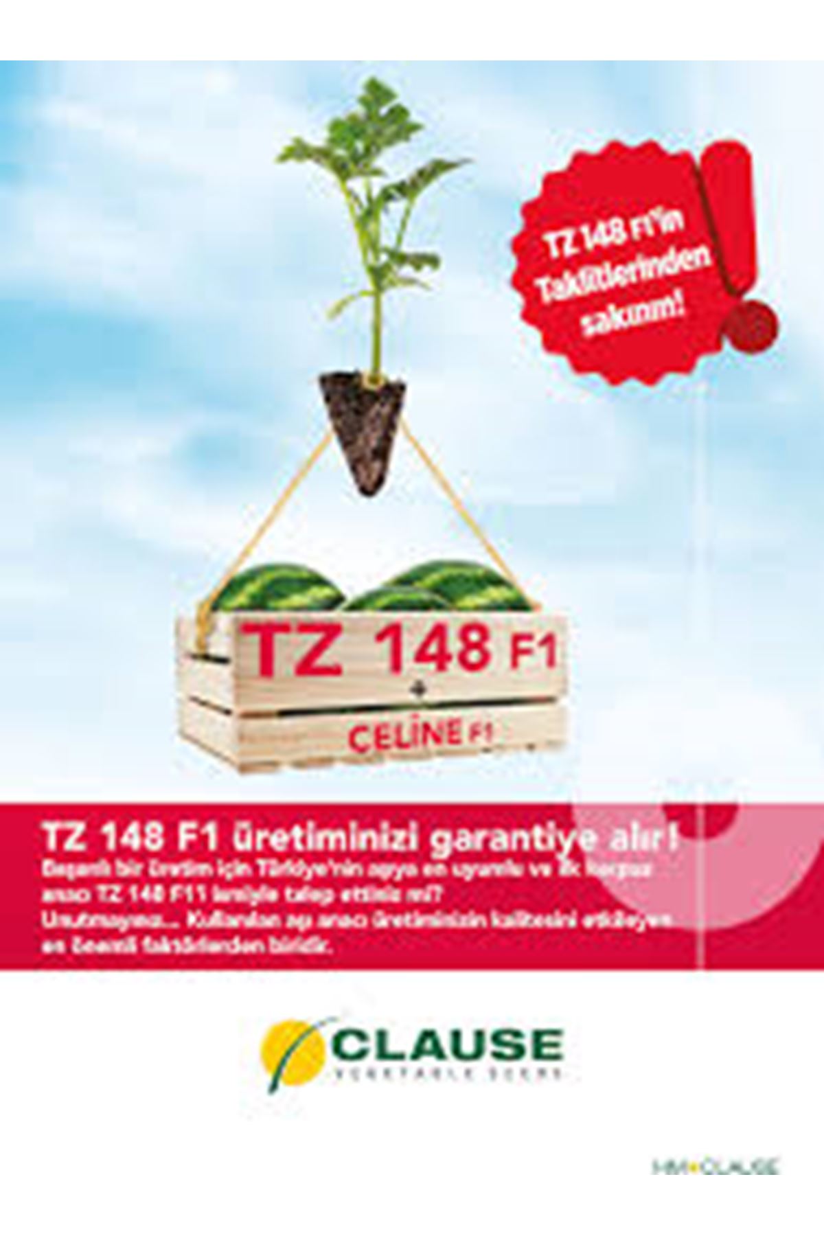 TZ 148 F1 KARPUZ ANACI TOHUMU