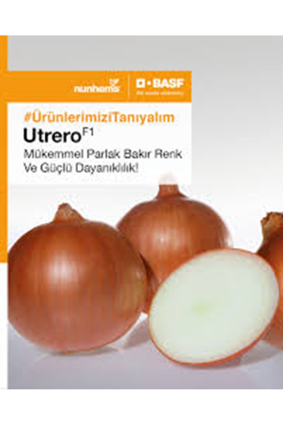 UTRERO F1 UZUN GÜN SOĞAN TOHUMU 