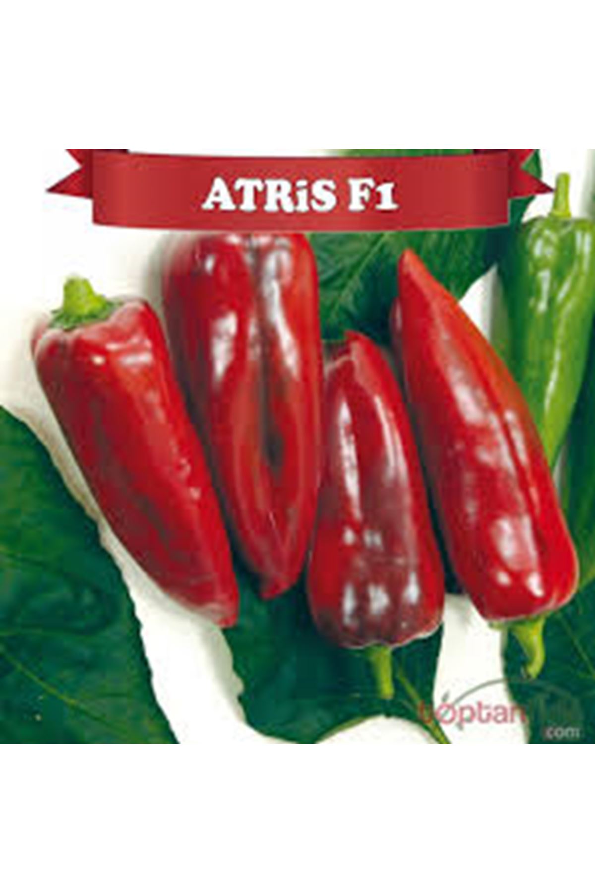 ATRİS F1 KAPYA BİBER TOHUMU