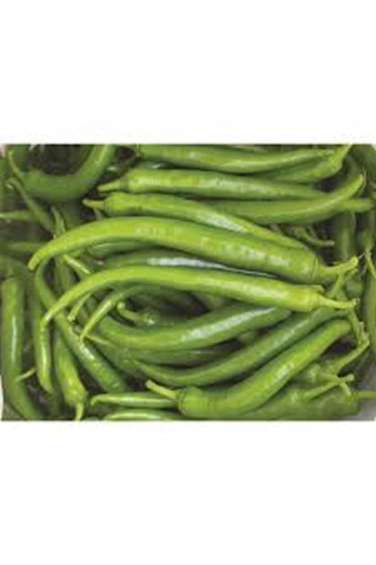 ASSİA F1 SİVRİ BİBER TOHUMU