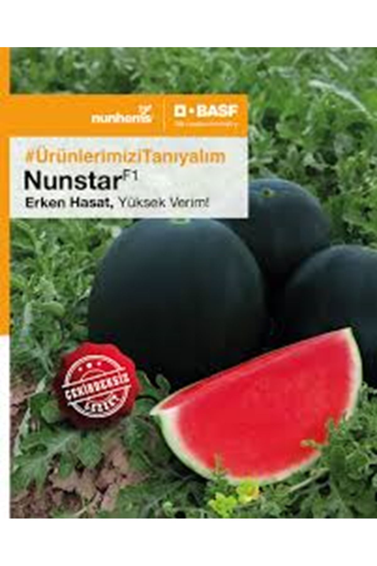 NUNSTAR F1 ÇEKİRDEKSİZ KARPUZ TOHUMU 