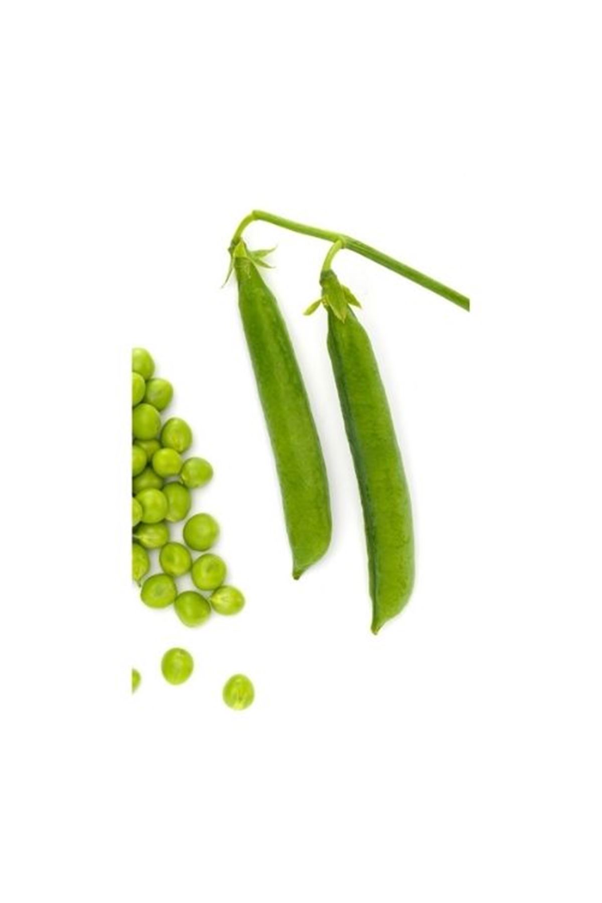 NUNHEMS  PRİMARA  BEZELYE TOHUMU