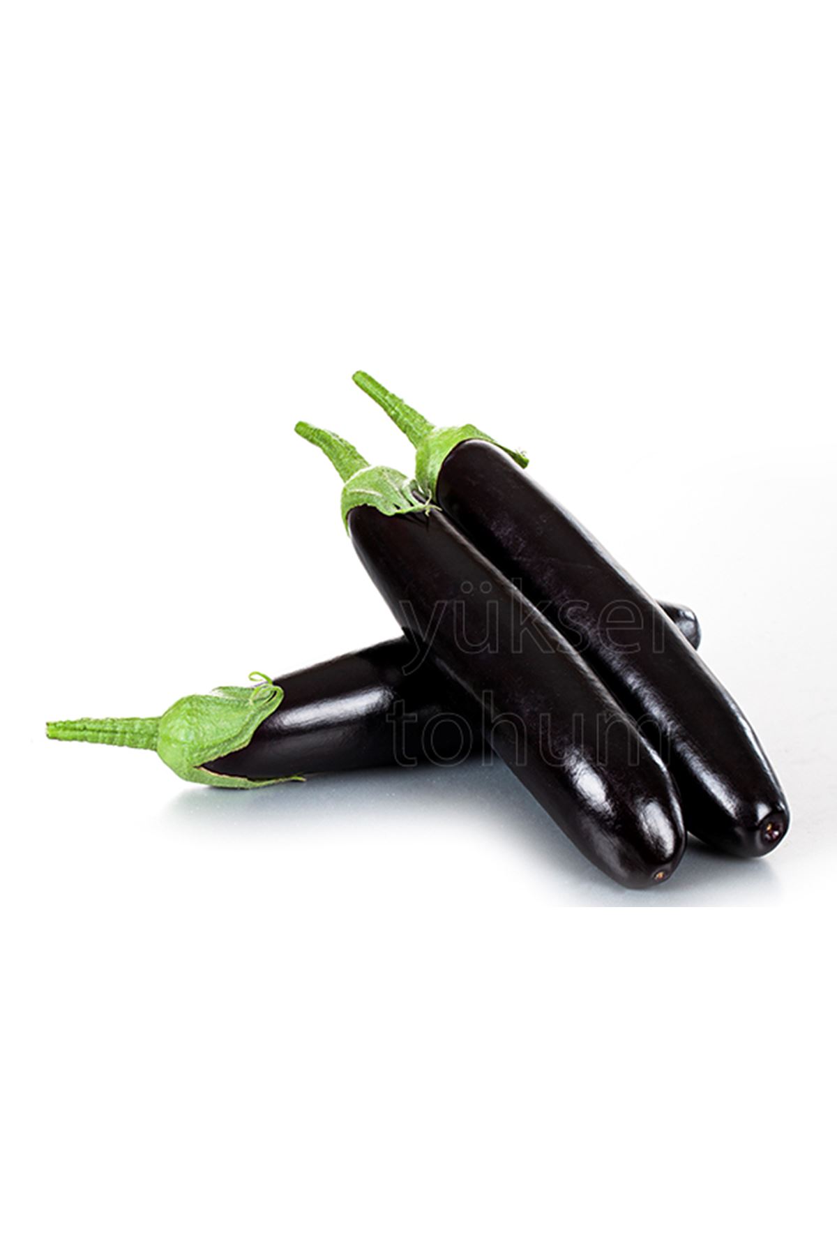 KARTAL F1 UZUN PATLICAN TOHUMU