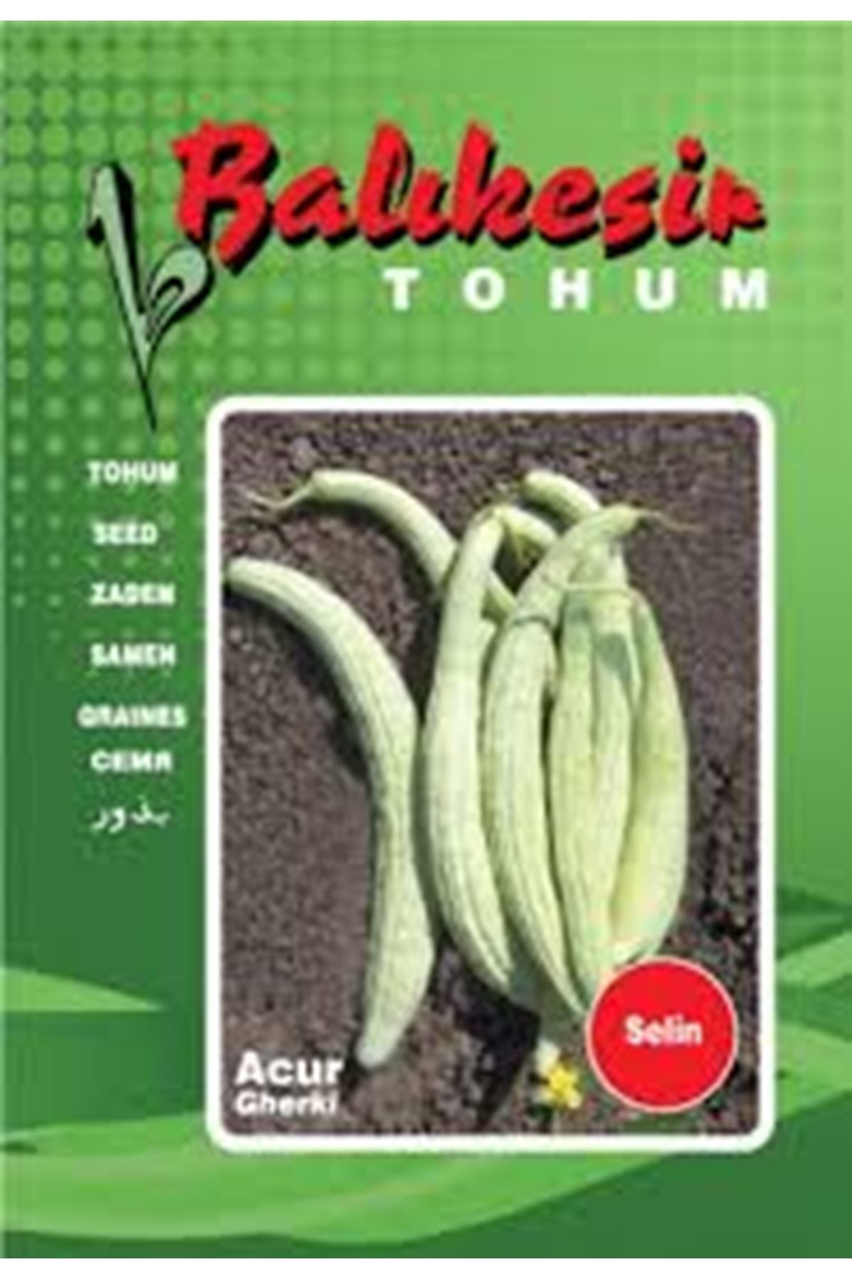 SELİN ACUR TOHUMU 500 GRAM AMBALAJI KDV DAHİL ADET FİYATI