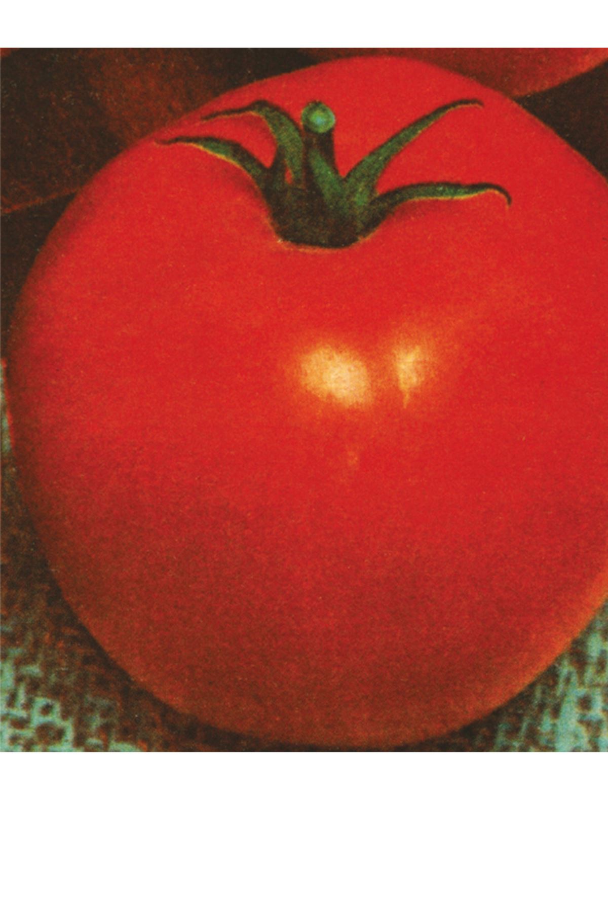 25 GRAM AMBALAJ ALTIN TOHUM H.2274 DOMATES TOHUMU KDV DAHİL FİYATI