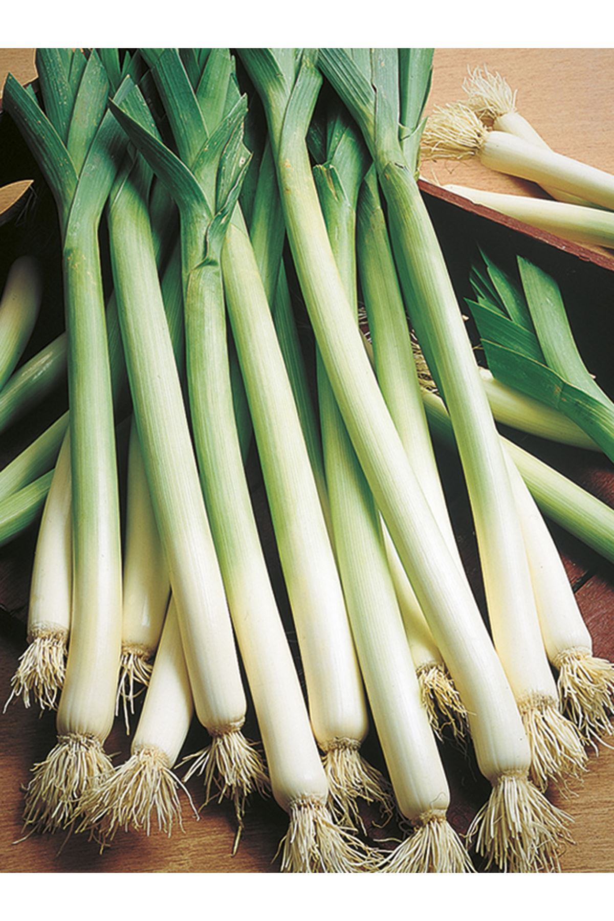 25 GRAM AMBALAJ İNEGÖL PIRASA TOHUMU , KDV DAHİL ADET FİYATI