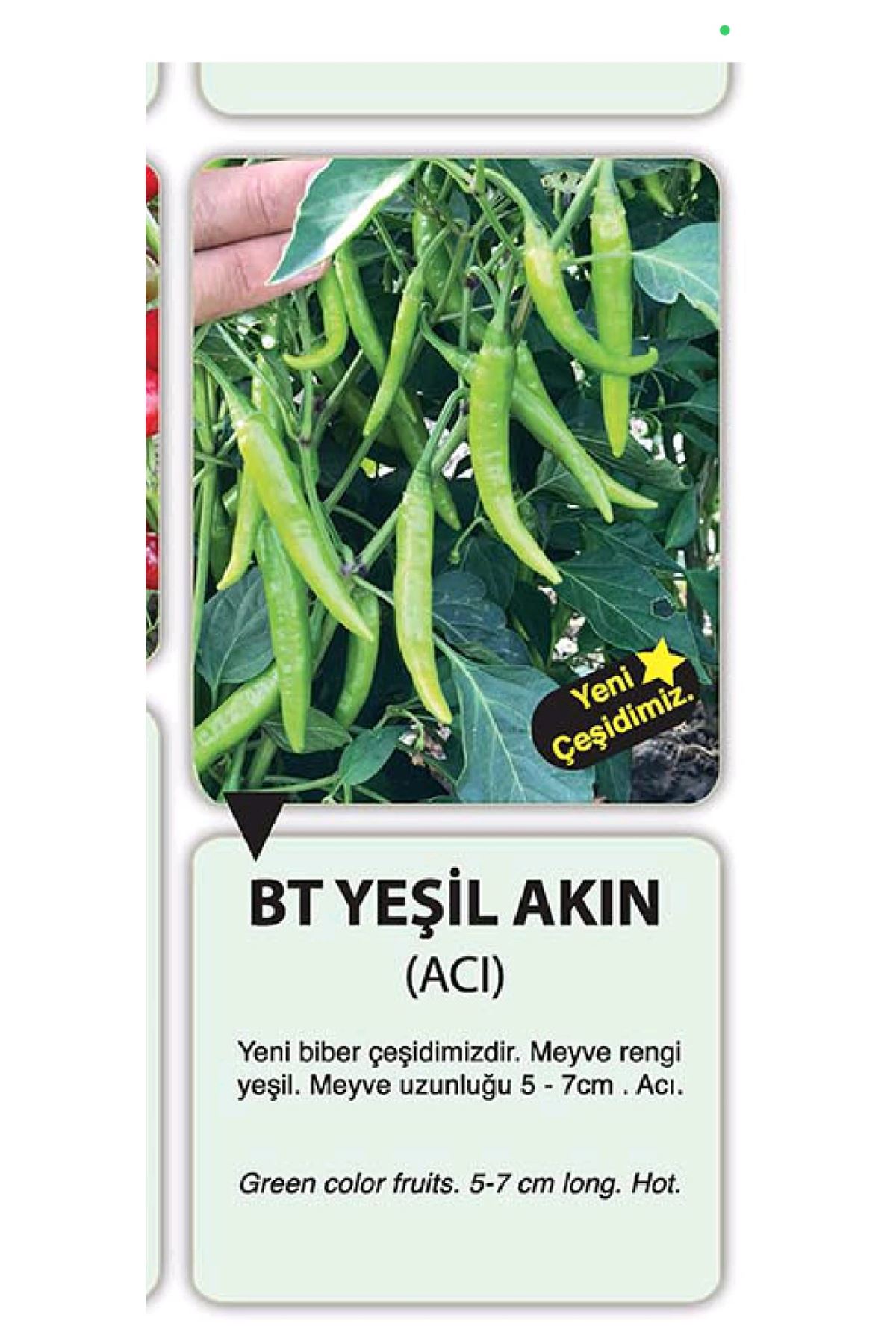 25 GRAM AMBALAJ BT YEŞİL AKIN ACI BİBER TOHUMU KDV DAHİL ADET FİYATI