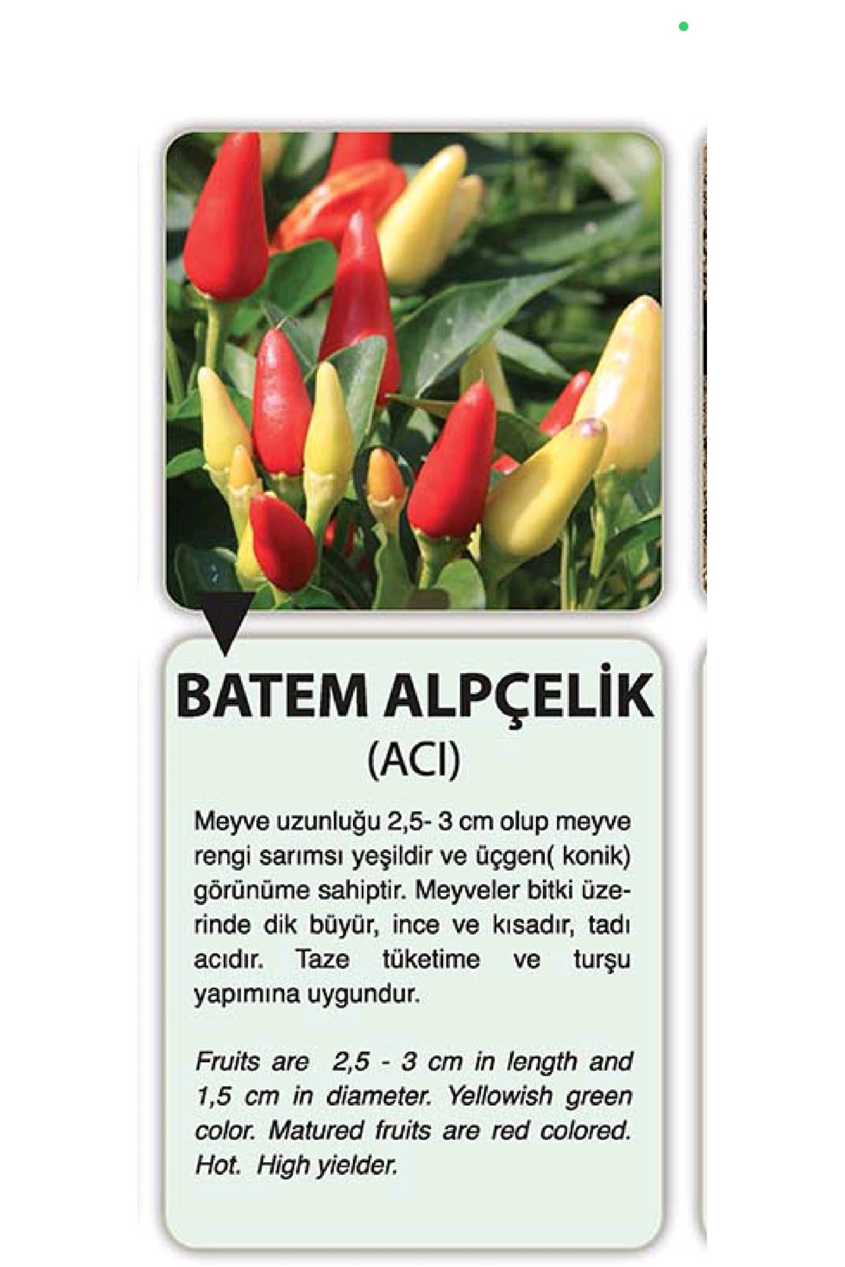 10 GRAM BATEM ALPÇELİK  ACI BİBER TOHUMU KDV DAHİL ADET FİYATI