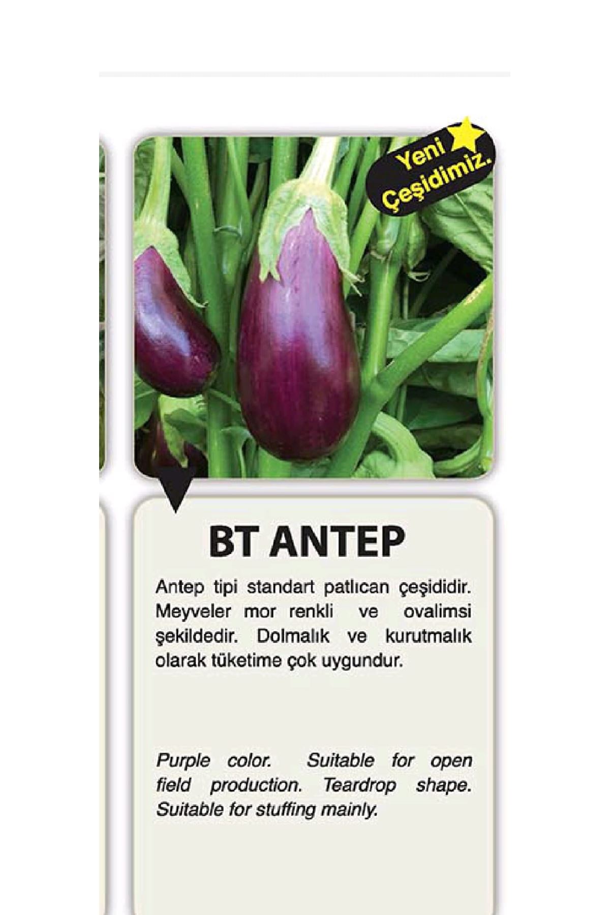 10 GRAM AMBALAJ BT ANTEP PATLICAN (KADİFE) TOHUMU KDV DAHİL ADET FİYATI 