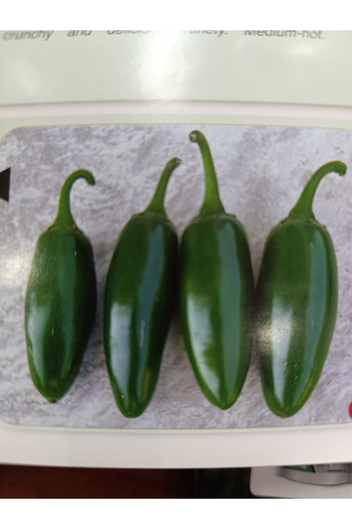 10 GRAM AMBALAJ BT JALAPENO ACI BİBER TOHUMU KDV DAHİL ADET FİYATI 