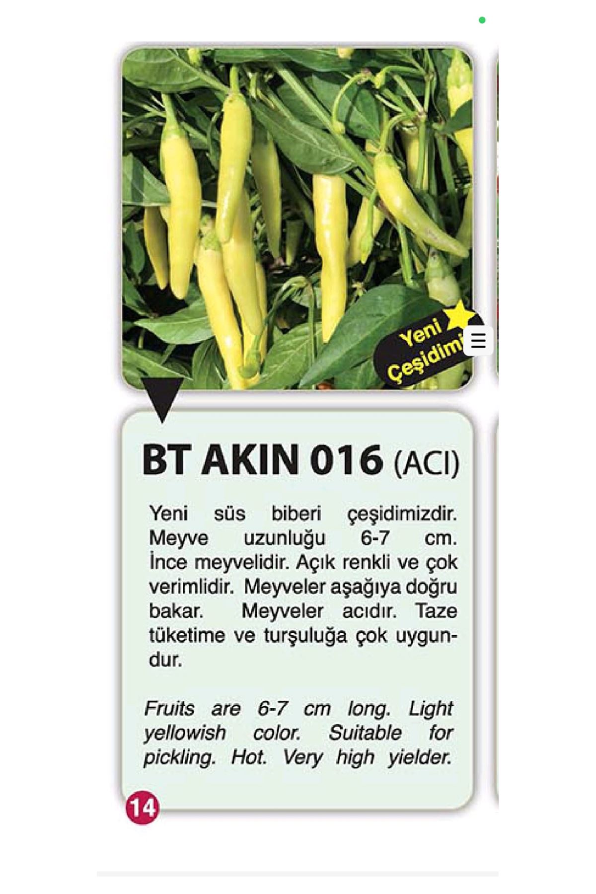 10 GRAM AMBALAJ BT AKIN 016 (ACI ) BİBER TOHUMU KDV DAHİL ADET FİYATI 