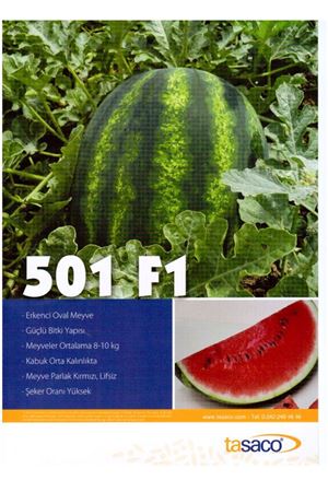 501 F1 Hibrit Karpuz Tohumu