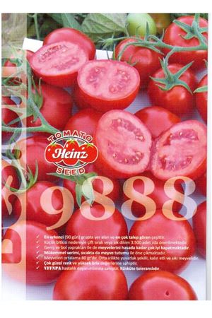 Heinz 9888 Sanayi Tipi Domates Tohumu
