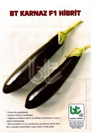 Bt Karnaz F1 Patlıcan Tohumu