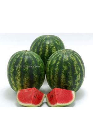 Ohman F1 Karpuz Tohumu