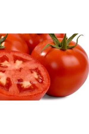İnterland F1 Oturak Domates Tohumu