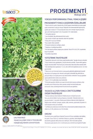 Prosementi Yonca Tohumu