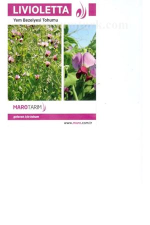Livioletta Yem Bezelyesi