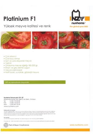 Platinium F1 Oturak Domates Tohumu