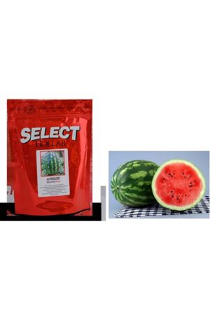 Select Au Producer Karpuz Tohumu