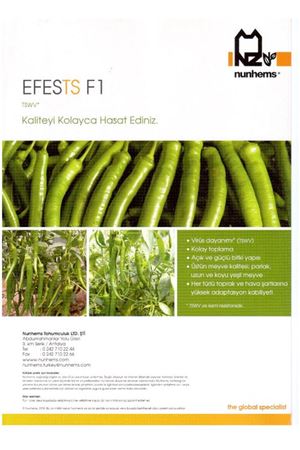 Efests F1 Sivri Biber Tohumu