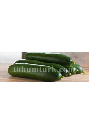 POTENZA F1 SIRIK HIYAR TOHUMU