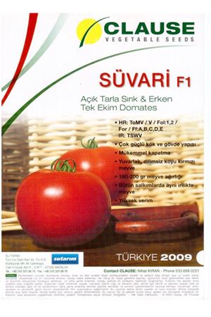 Süvari F1 Sırık Domates Tohumu