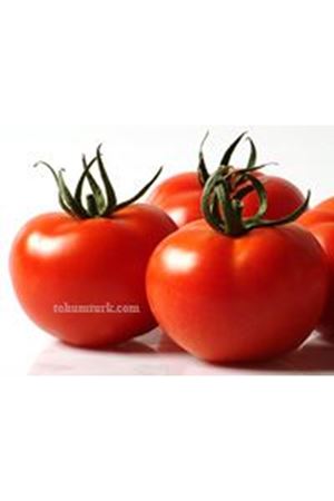 Gamze F1 Sırık Domates Tohumu