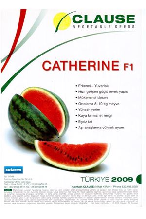 Catherine F1 Karpuz