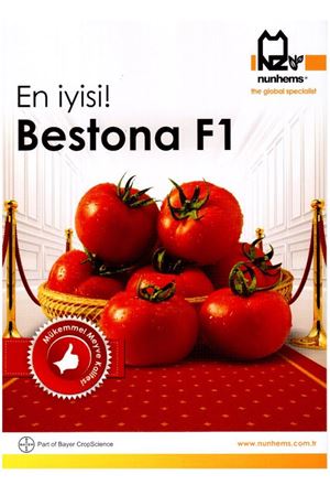 Bestona F1 Domates Tohumu