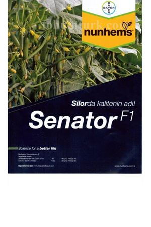 Senator F1 Sırık Hıyar Tohumu
