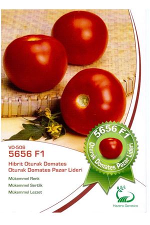 5656 F1 Oturak Domates Tohumu
