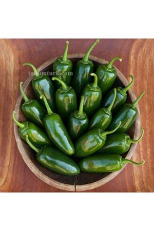 Jalastar F1 Acı Jalapeno Biber Tohumu