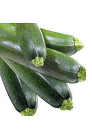 Afrodite F1  Siyah Kabak