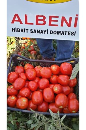 Albeni F1 Sanayi Salçalık Domates Tohumu