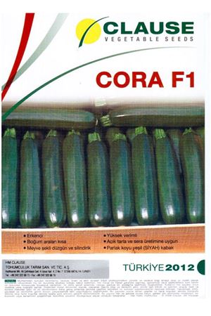 Cora F1 Siyah Kabak Tohumu