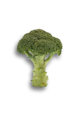 Agassi  Rz F1 Brokoli